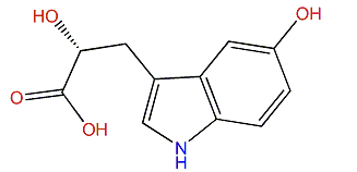 Hyrtioerectine C